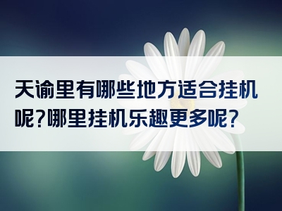天谕里有哪些地方适合挂机呢？哪里挂机乐趣更多呢？