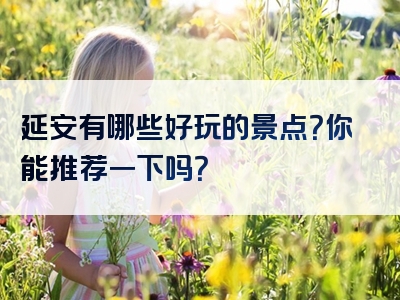 延安有哪些好玩的景点？你能推荐一下吗？