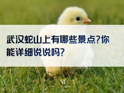 武汉蛇山上有哪些景点？你能详细说说吗？