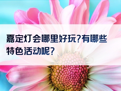 嘉定灯会哪里好玩？有哪些特色活动呢？