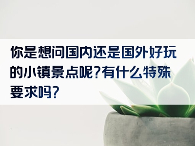 你是想问国内还是国外好玩的小镇景点呢？有什么特殊要求吗？