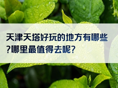 天津天塔好玩的地方有哪些？哪里最值得去呢？