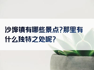 沙埠镇有哪些景点？那里有什么独特之处呢？