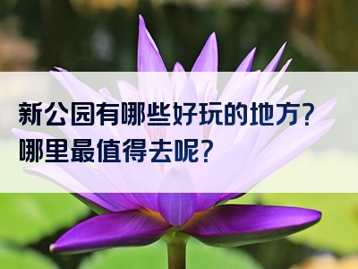 新公园有哪些好玩的地方？哪里最值得去呢？