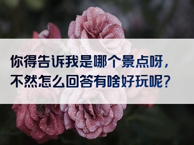 你得告诉我是哪个景点呀，不然怎么回答有啥好玩呢？