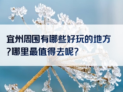 宜州周围有哪些好玩的地方？哪里最值得去呢？