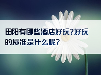 田阳有哪些酒店好玩？好玩的标准是什么呢？