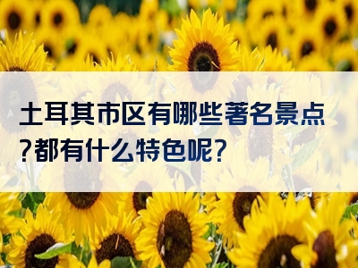 土耳其市区有哪些著名景点？都有什么特色呢？