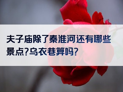 夫子庙除了秦淮河还有哪些景点？乌衣巷算吗？
