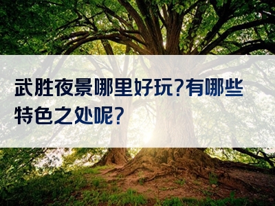 武胜夜景哪里好玩？有哪些特色之处呢？