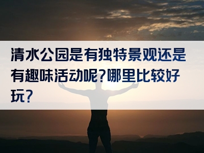 清水公园是有独特景观还是有趣味活动呢？哪里比较好玩？