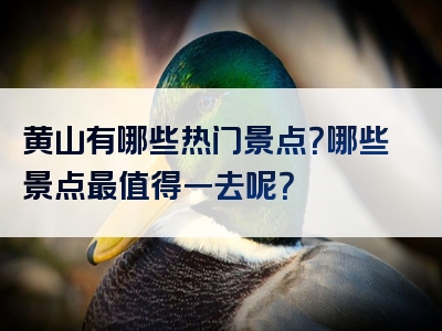 黄山有哪些热门景点？哪些景点最值得一去呢？