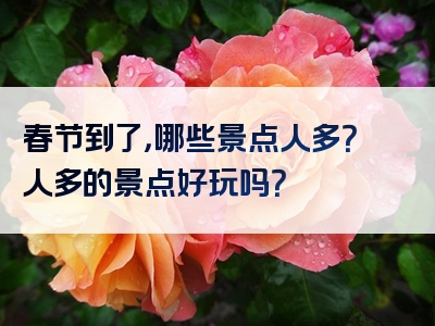 春节到了，哪些景点人多？人多的景点好玩吗？