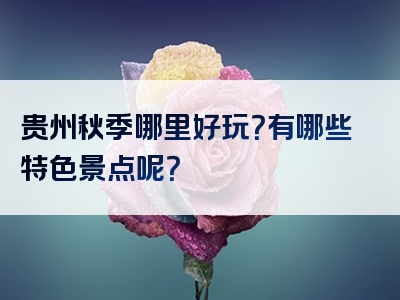 贵州秋季哪里好玩？有哪些特色景点呢？