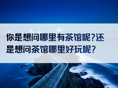 你是想问哪里有茶馆呢？还是想问茶馆哪里好玩呢？