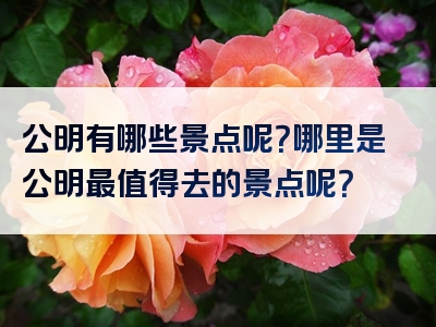 公明有哪些景点呢？哪里是公明最值得去的景点呢？