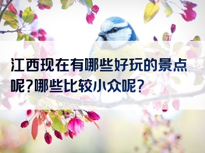 江西现在有哪些好玩的景点呢？哪些比较小众呢？