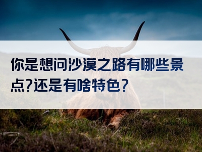 你是想问沙漠之路有哪些景点？还是有啥特色？