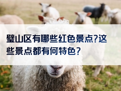 璧山区有哪些红色景点？这些景点都有何特色？