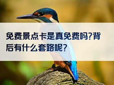 免费景点卡是真免费吗？背后有什么套路呢？