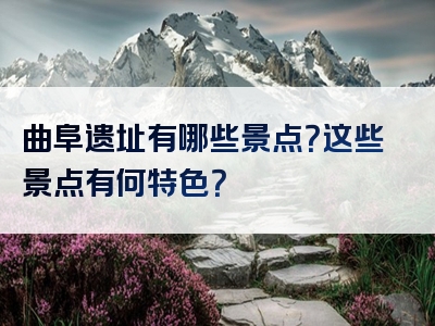 曲阜遗址有哪些景点？这些景点有何特色？