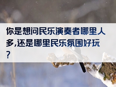 你是想问民乐演奏者哪里人多，还是哪里民乐氛围好玩？