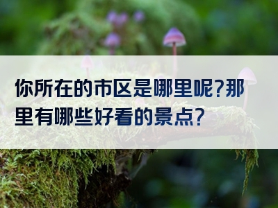 你所在的市区是哪里呢？那里有哪些好看的景点？