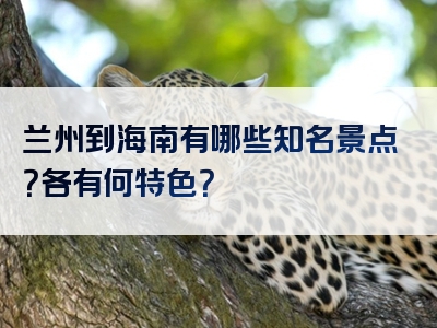 兰州到海南有哪些知名景点？各有何特色？