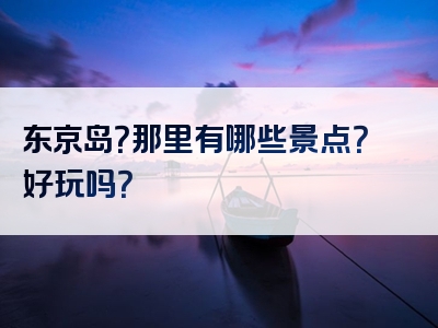 东京岛？那里有哪些景点？好玩吗？