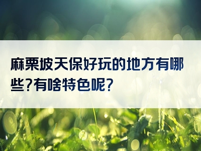 麻栗坡天保好玩的地方有哪些？有啥特色呢？