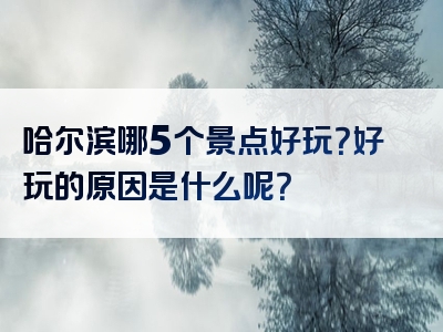 哈尔滨哪5个景点好玩？好玩的原因是什么呢？