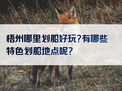 梧州哪里划船好玩？有哪些特色划船地点呢？