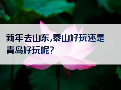 新年去山东，泰山好玩还是青岛好玩呢？