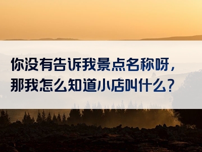 你没有告诉我景点名称呀，那我怎么知道小店叫什么？