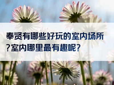 奉贤有哪些好玩的室内场所？室内哪里最有趣呢？