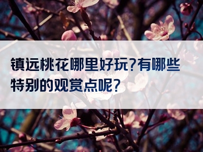 镇远桃花哪里好玩？有哪些特别的观赏点呢？