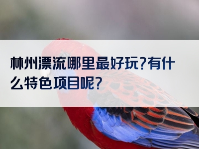 林州漂流哪里最好玩？有什么特色项目呢？