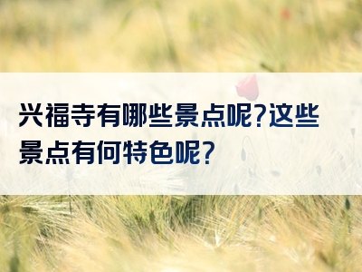 兴福寺有哪些景点呢？这些景点有何特色呢？