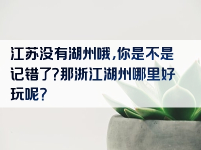 江苏没有湖州哦，你是不是记错了？那浙江湖州哪里好玩呢？