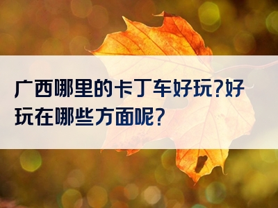 广西哪里的卡丁车好玩？好玩在哪些方面呢？