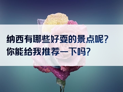 纳西有哪些好耍的景点呢？你能给我推荐一下吗？