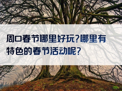 周口春节哪里好玩？哪里有特色的春节活动呢？