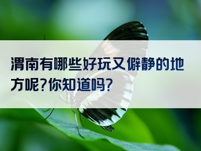 渭南有哪些好玩又僻静的地方呢？你知道吗？