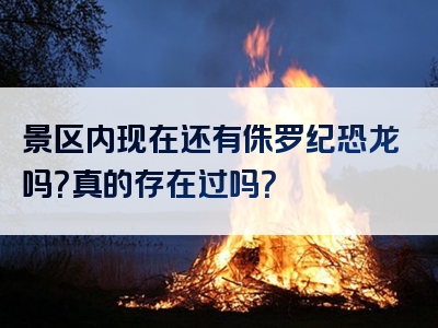 景区内现在还有侏罗纪恐龙吗？真的存在过吗？