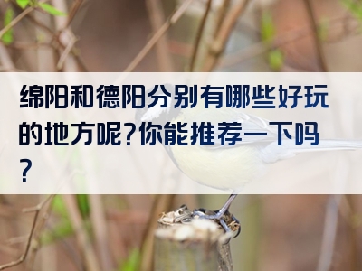 绵阳和德阳分别有哪些好玩的地方呢？你能推荐一下吗？