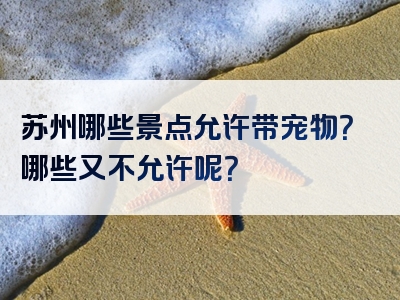 苏州哪些景点允许带宠物？哪些又不允许呢？