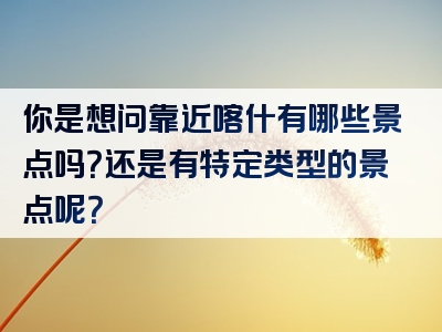 你是想问靠近喀什有哪些景点吗？还是有特定类型的景点呢？