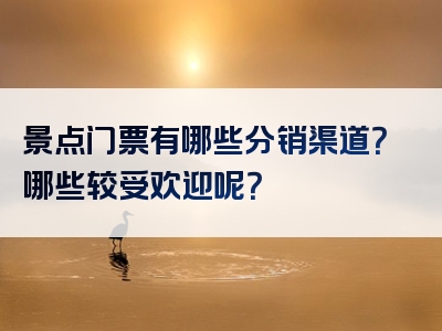 景点门票有哪些分销渠道？哪些较受欢迎呢？