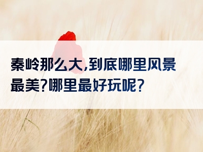 秦岭那么大，到底哪里风景最美？哪里最好玩呢？