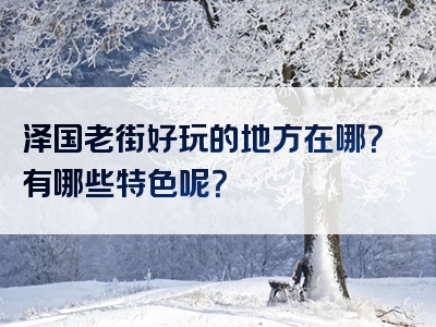 泽国老街好玩的地方在哪？有哪些特色呢？